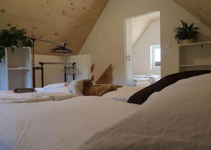 Dom wakacyjny Dreams